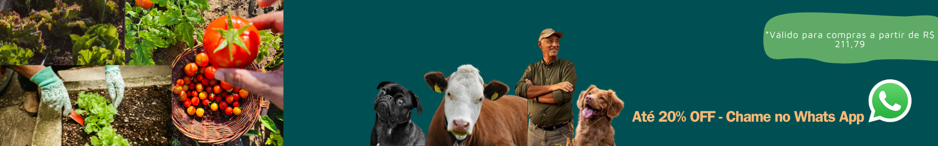 Banner - Blackfriday