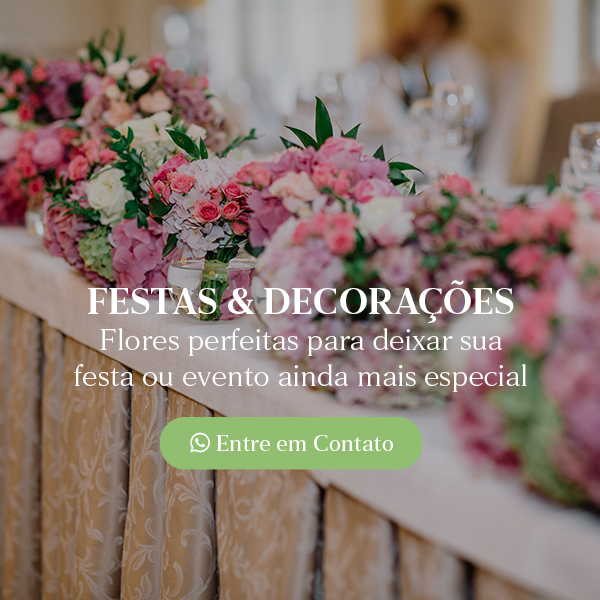 Festas e Eventos - Mobile