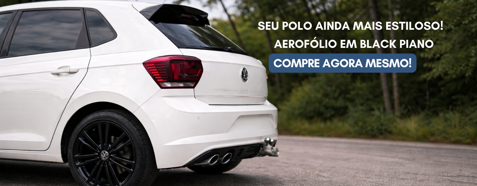 POLO 3