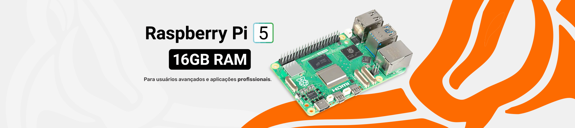 Raspberry Pi 5