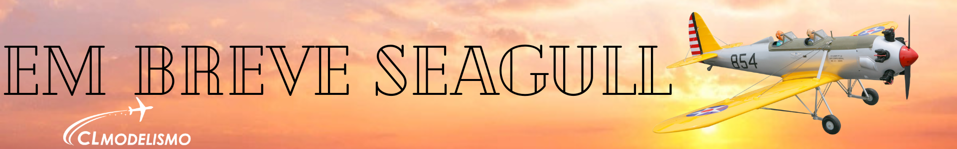 seagull