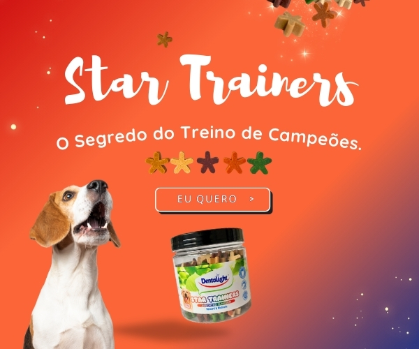 Full Banner 05 mobile