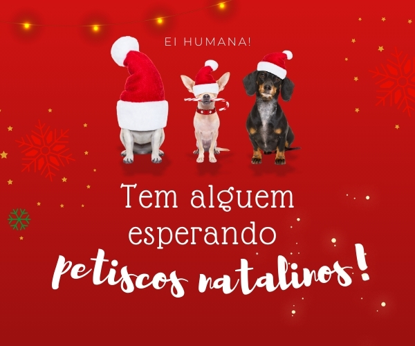 Full Banner Natal mobile