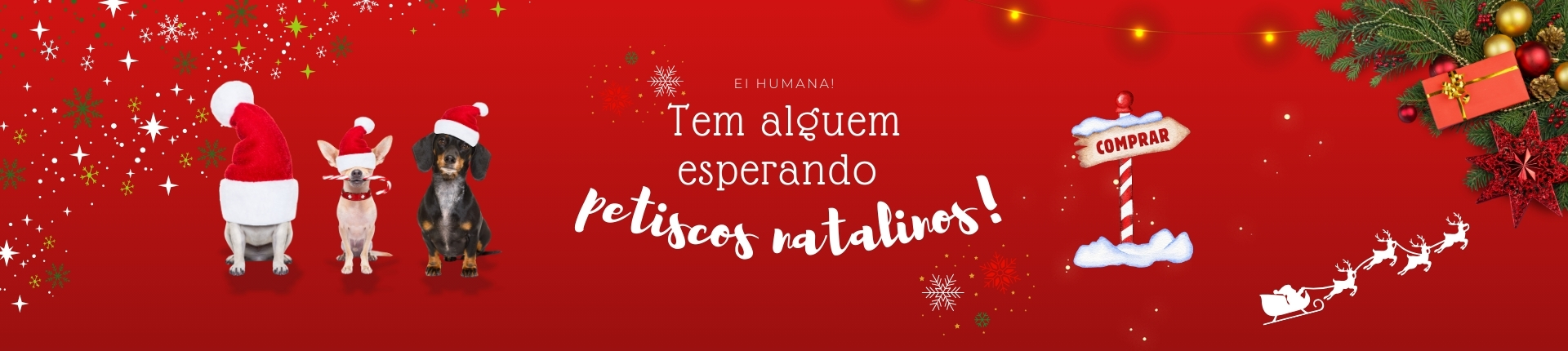 Full Banner Natal