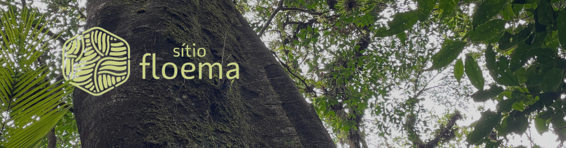 Sítio Floema
