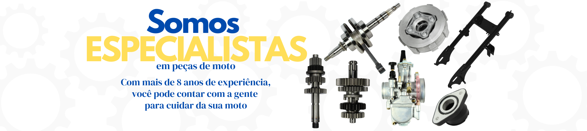 Especialista