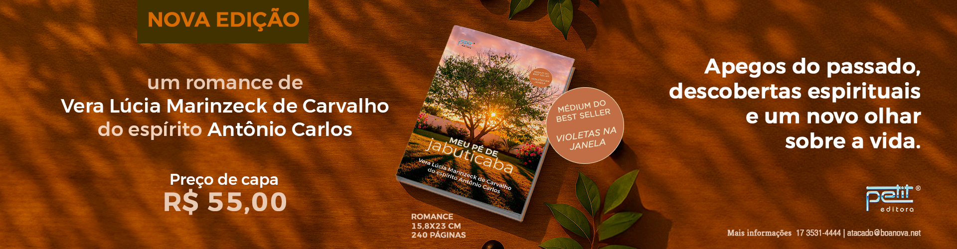 Meu Pé de Jabuticaba