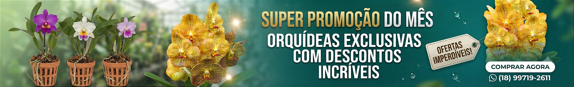 PROMO