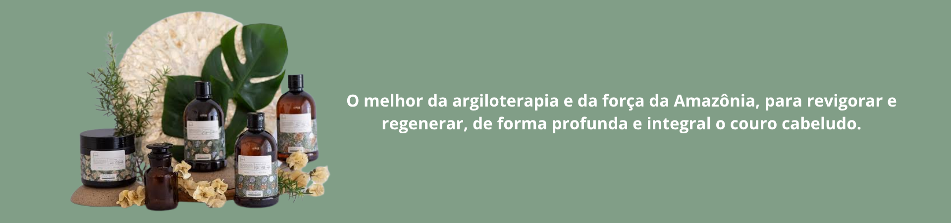 TOCTUS TERRENA