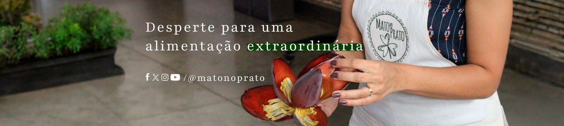 Banner 01 - Despertar