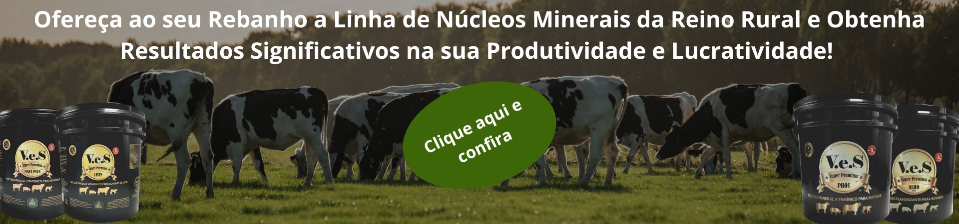 V.e.S Super Premium Bovinos