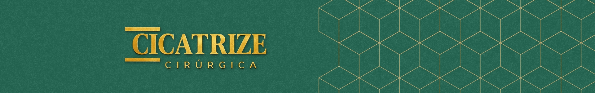 banner com foco na logo