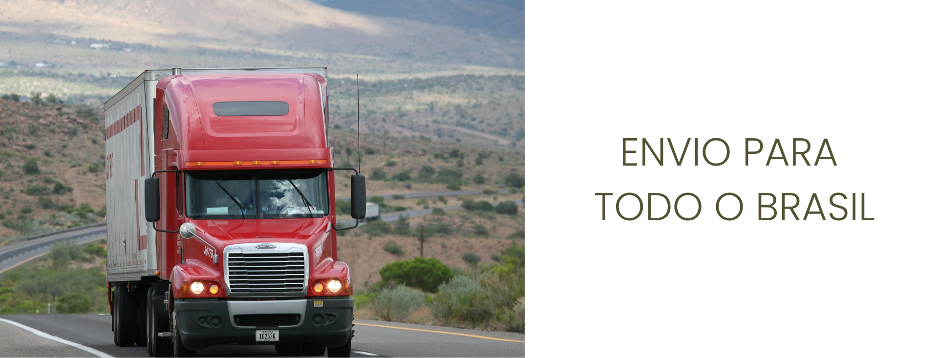Envio para todo o Brasil