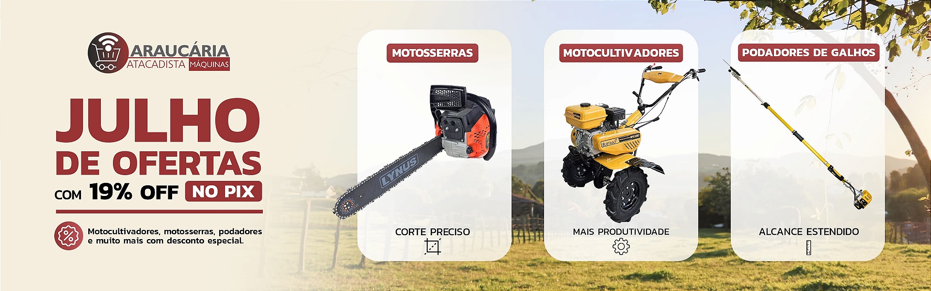 Julho 19% OFF
