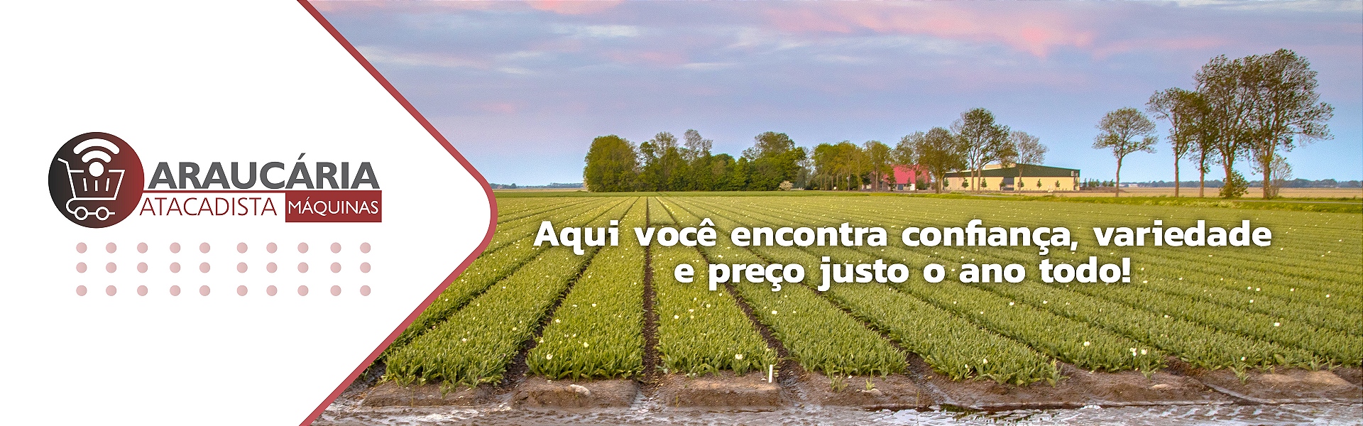 Perene Institucional