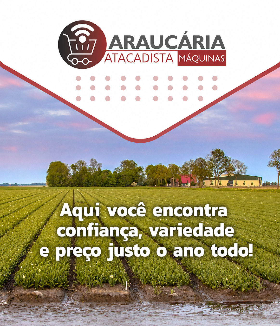 [mobile] araucaria