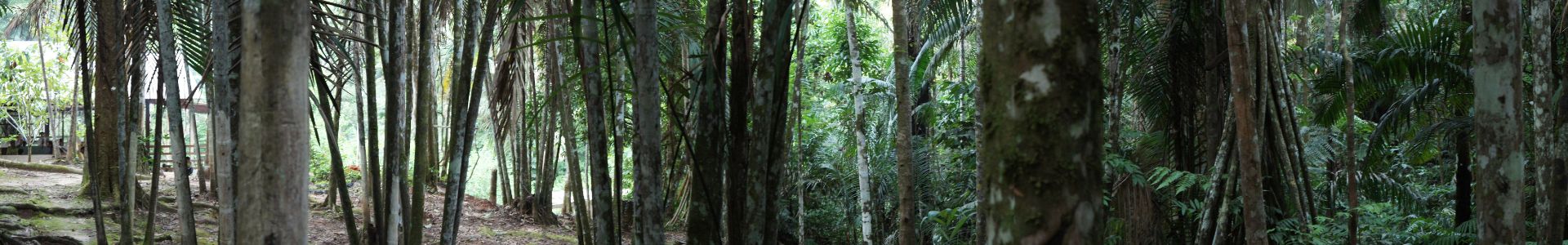 Perto da casa de feitio