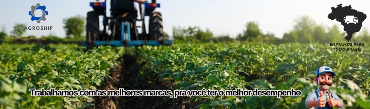 Banner 4