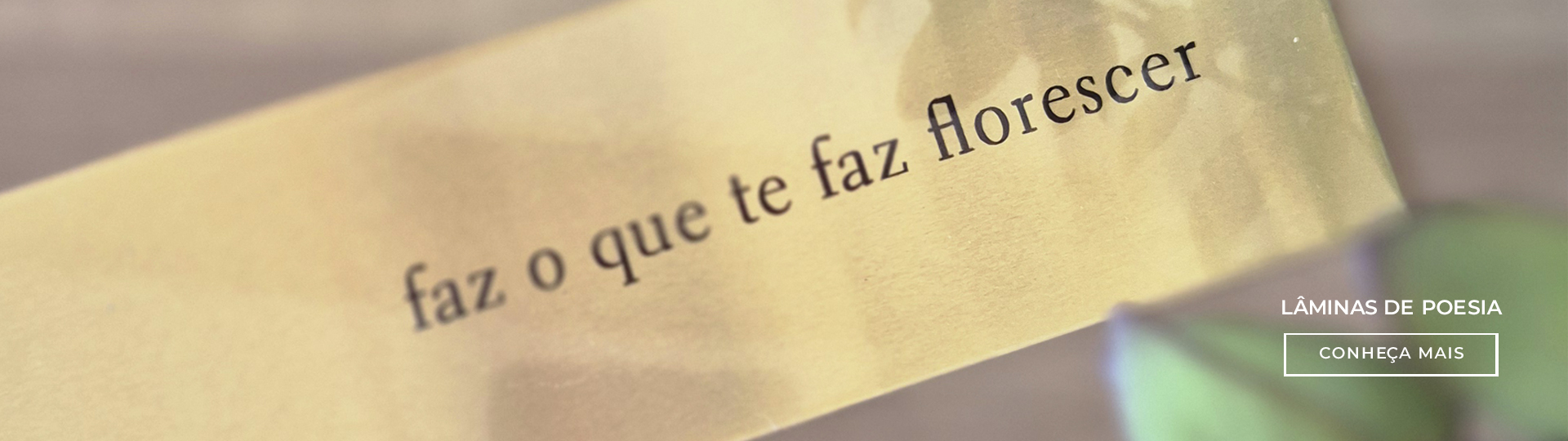 lâminas de poesia banner @desktop
