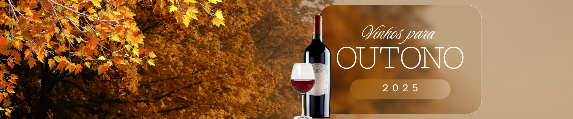 Vinhos para o Outono