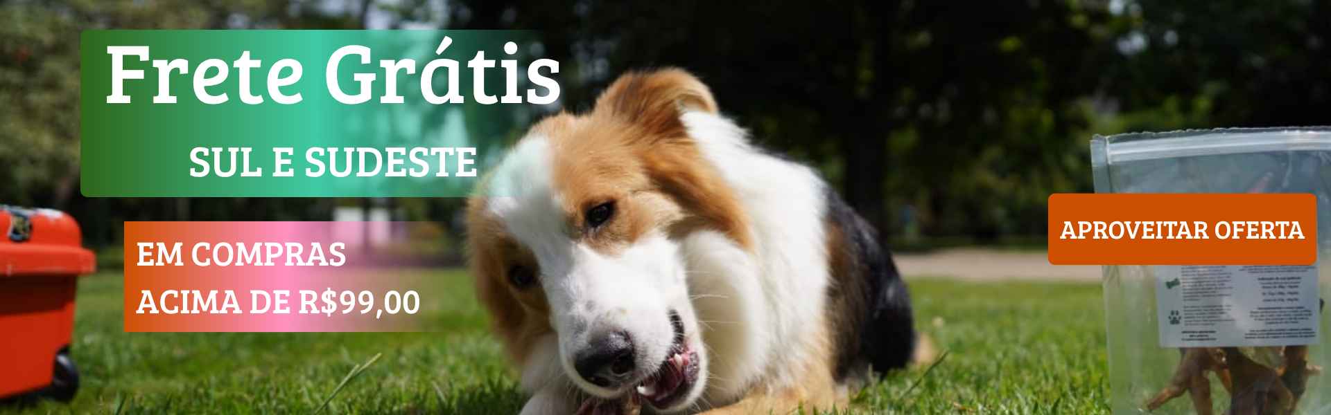 Full banner desktop 2