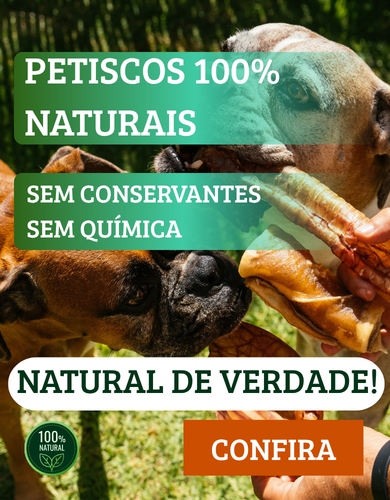 Full banner mobile 3