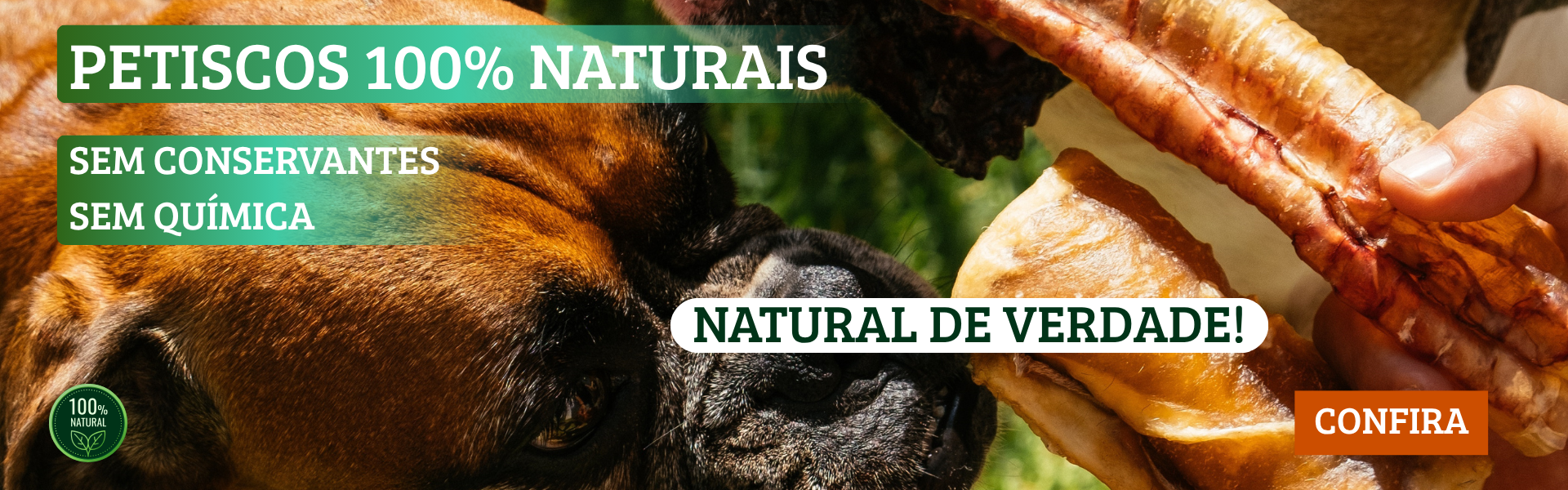 Full banner desktop 3