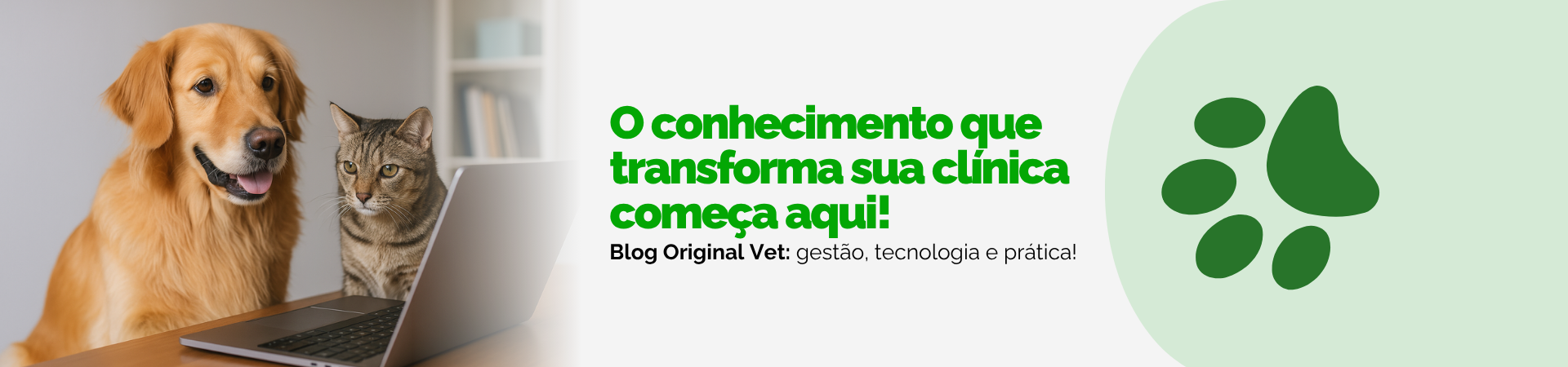 Blog Original Vet