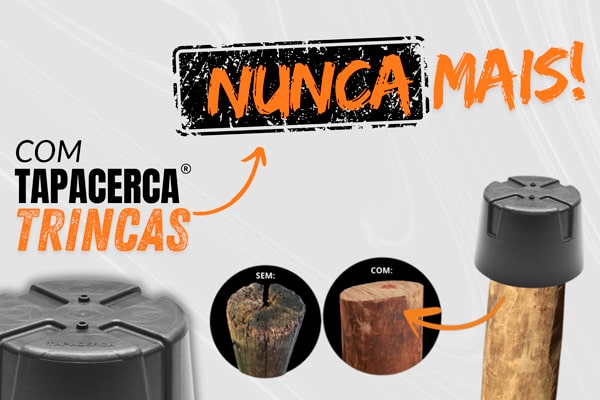 Trincas @mobile