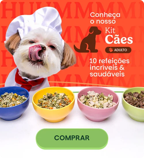 Caes Adultos [mobile]