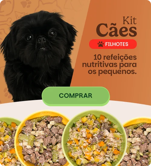 Cachorro Filhotes [mobile]