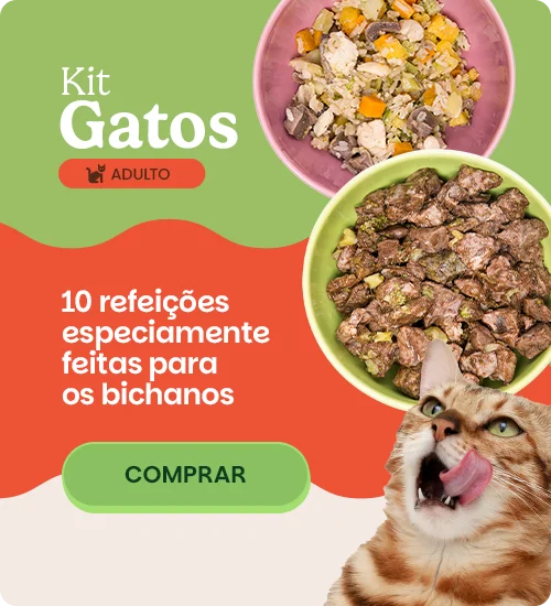 Gatos Adultos [mobile]