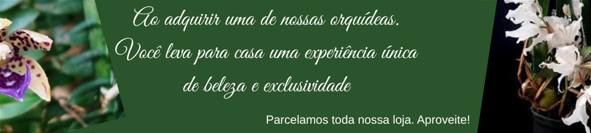 Raras
