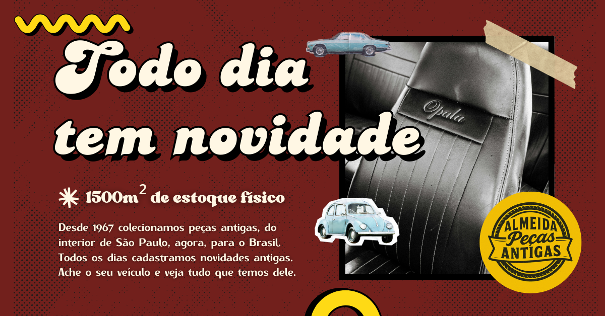 Novidade Todo Dia