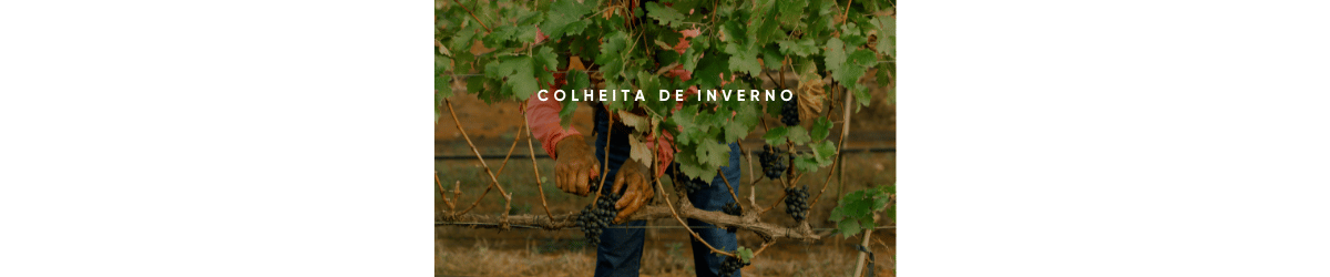 Colheita