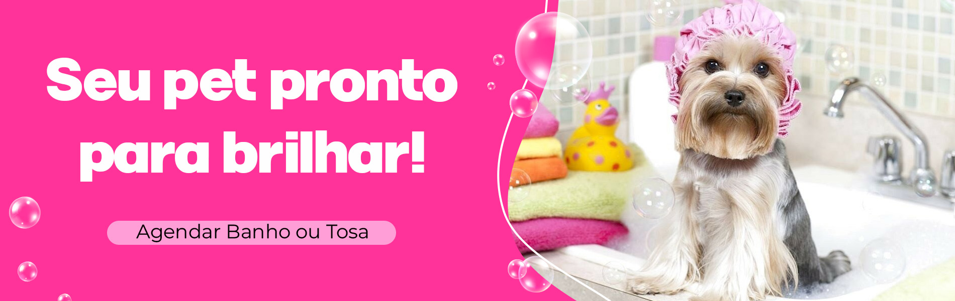 Full banner banho e tosa