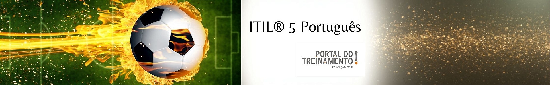 itil 5 portugues