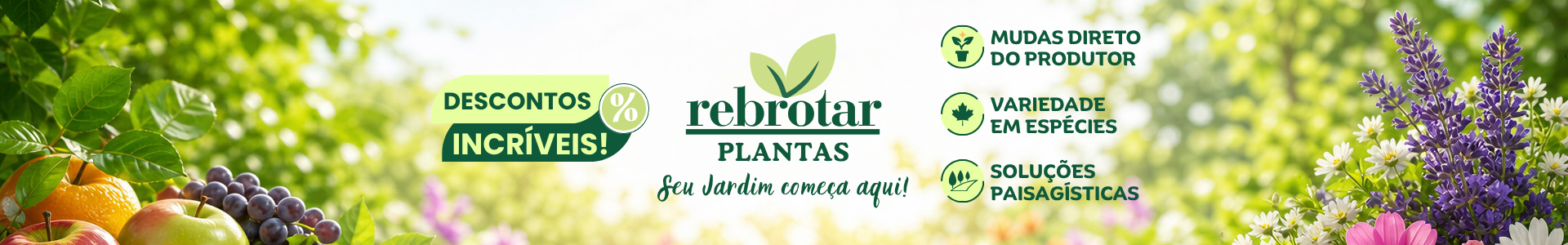 Rebrotar