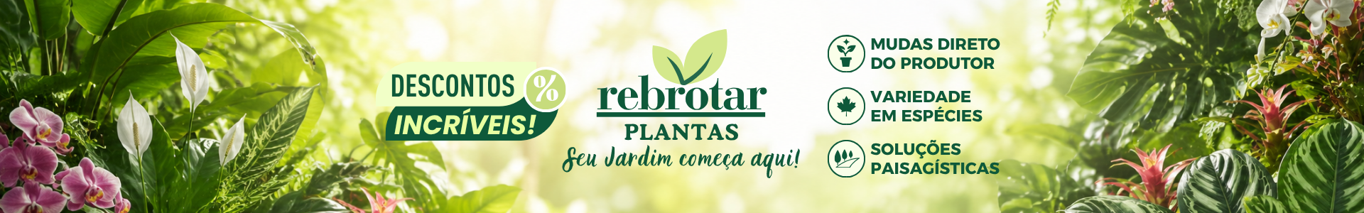 Rebrotar