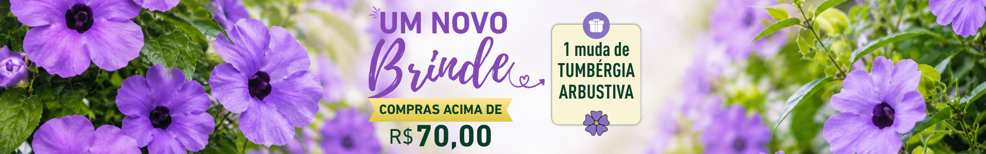 Brinde