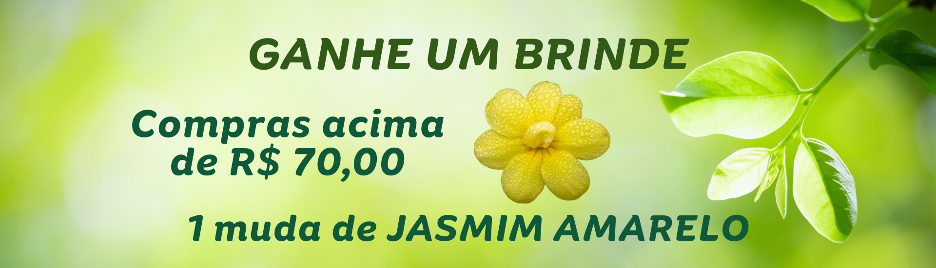 brinde