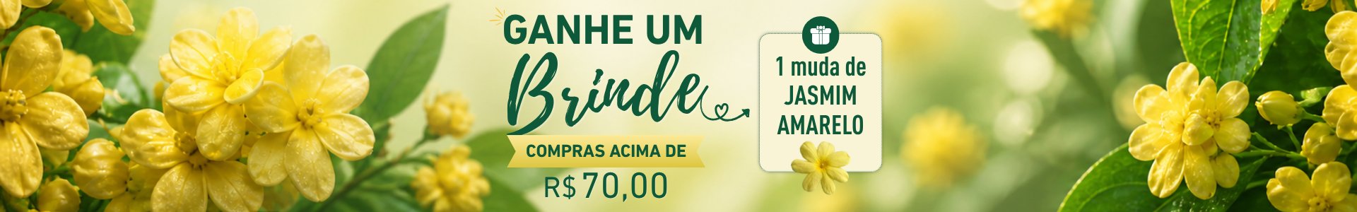 Brinde