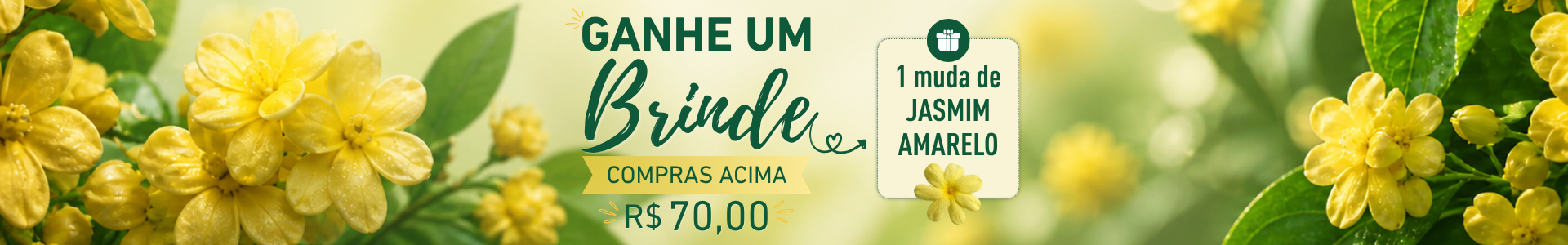 Brinde