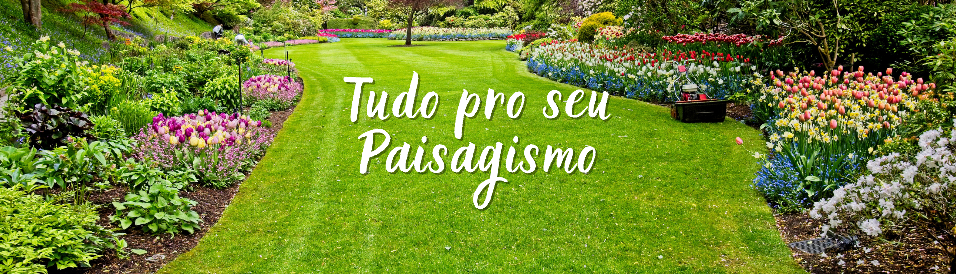 paisagismo