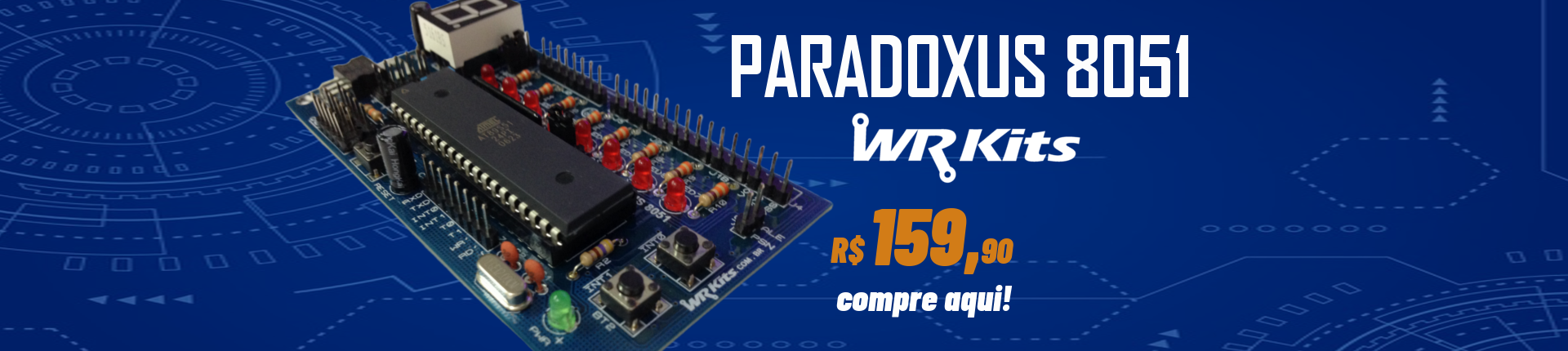 Paradoxus 8051