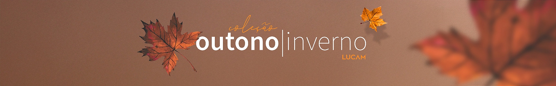 Full banner desktop 16