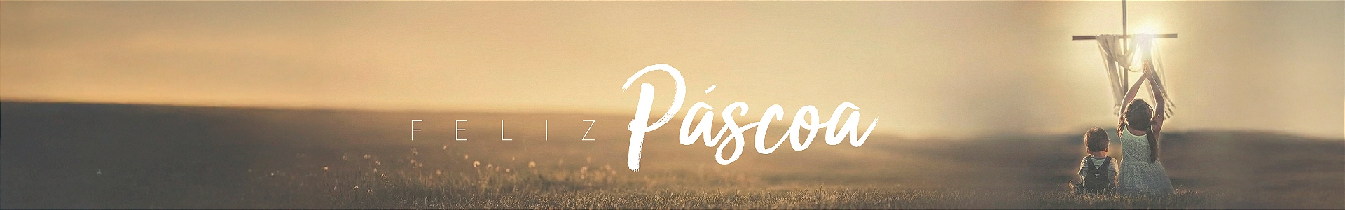 Full banner desktop 15