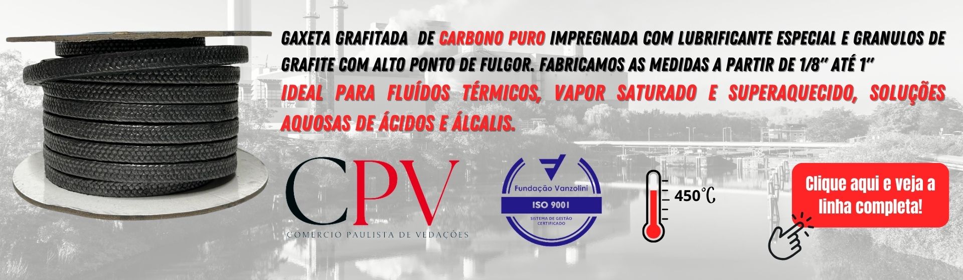 GAXETA DE CARBONO PURO