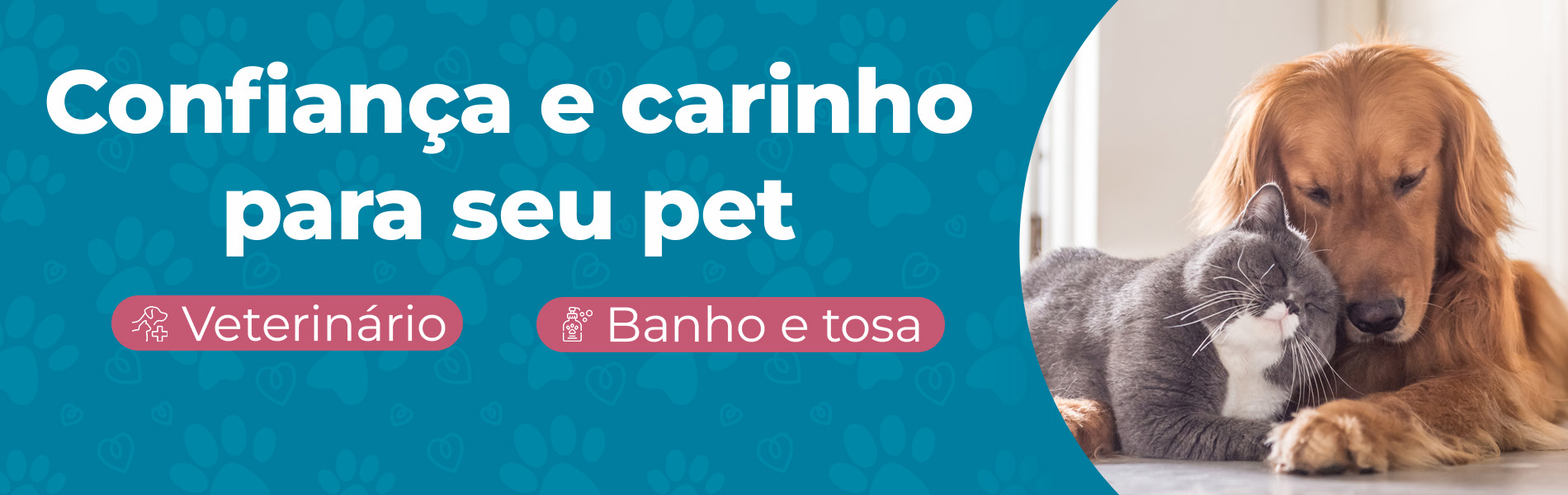 Full banner serviços pet