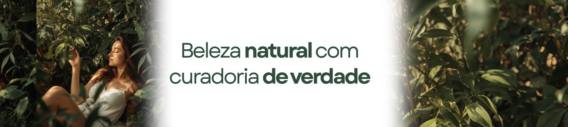 banner curadoria